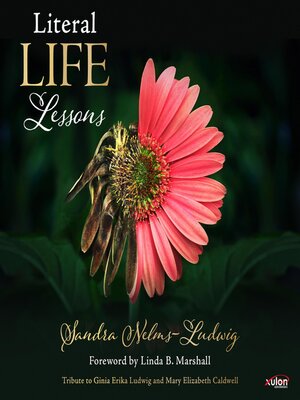 cover image of Literal Life Lessons